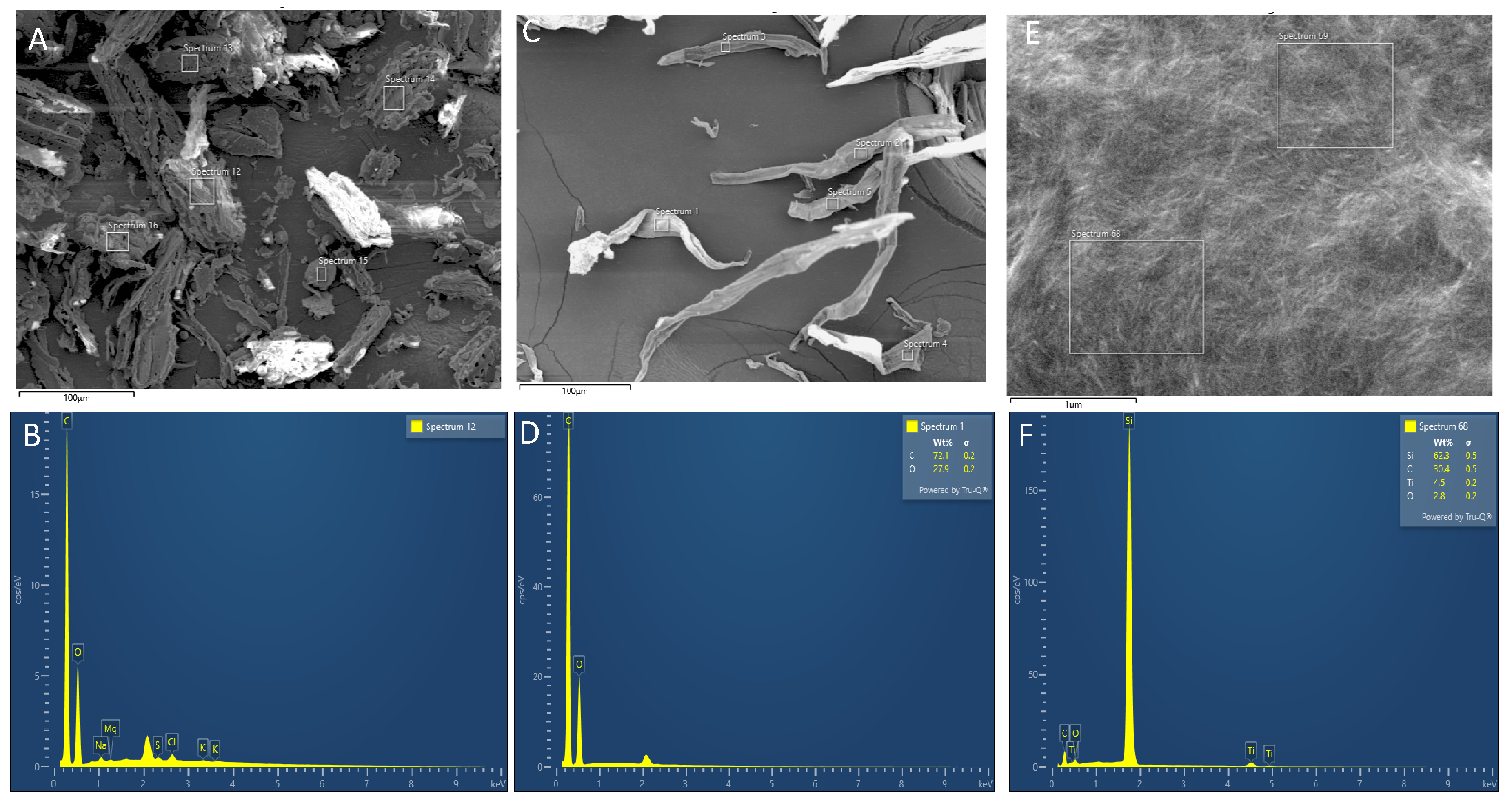 Polymers 17 02124 g004
