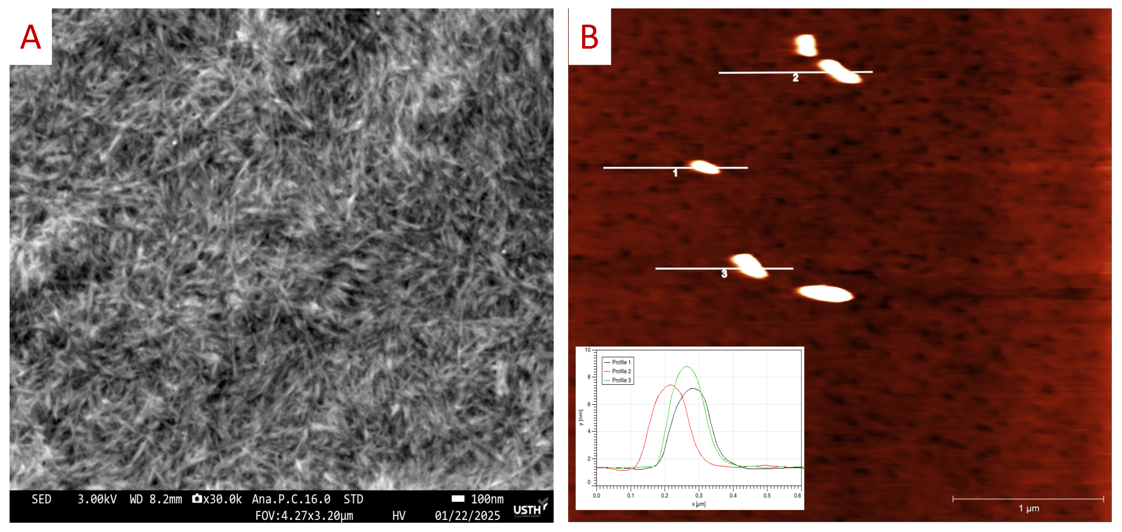 Polymers 17 02124 g005