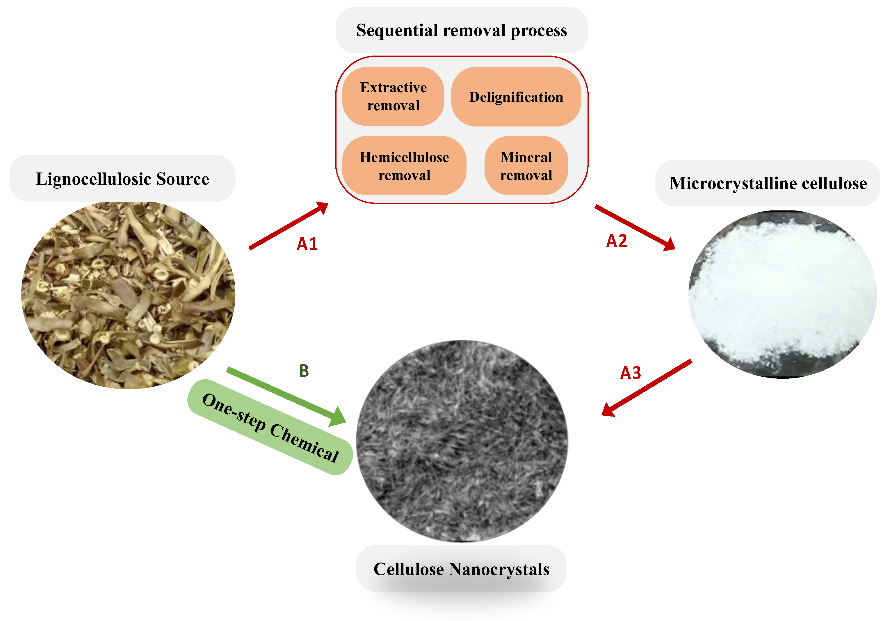 Polymers 17 02124 sch001