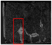 Polymers 17 02137 i006