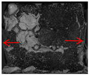 Polymers 17 02137 i008