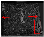 Polymers 17 02137 i010