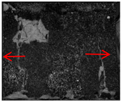 Polymers 17 02137 i011