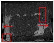 Polymers 17 02137 i012