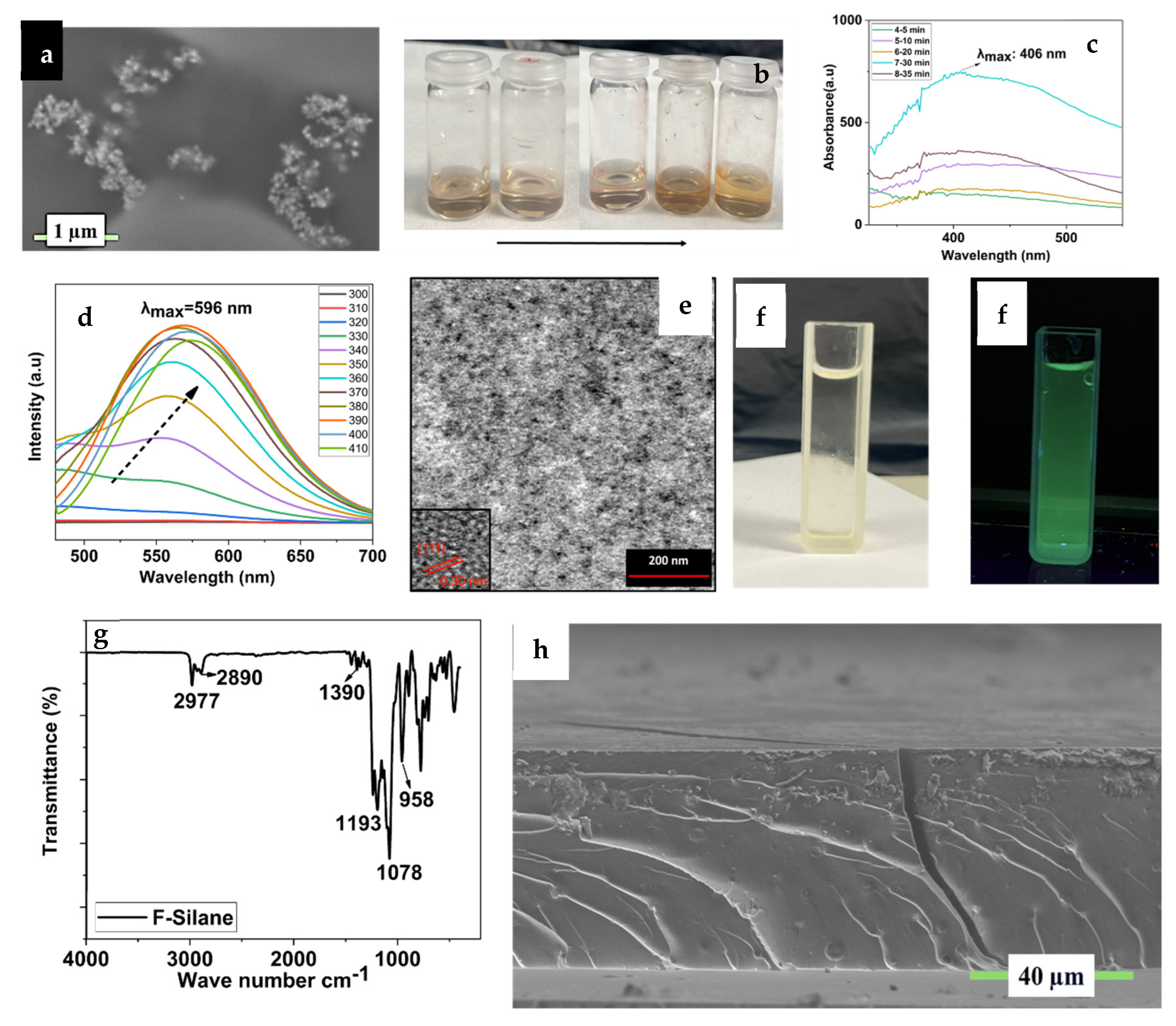 Polymers 17 02139 g002 Polymers 17 02139 g002