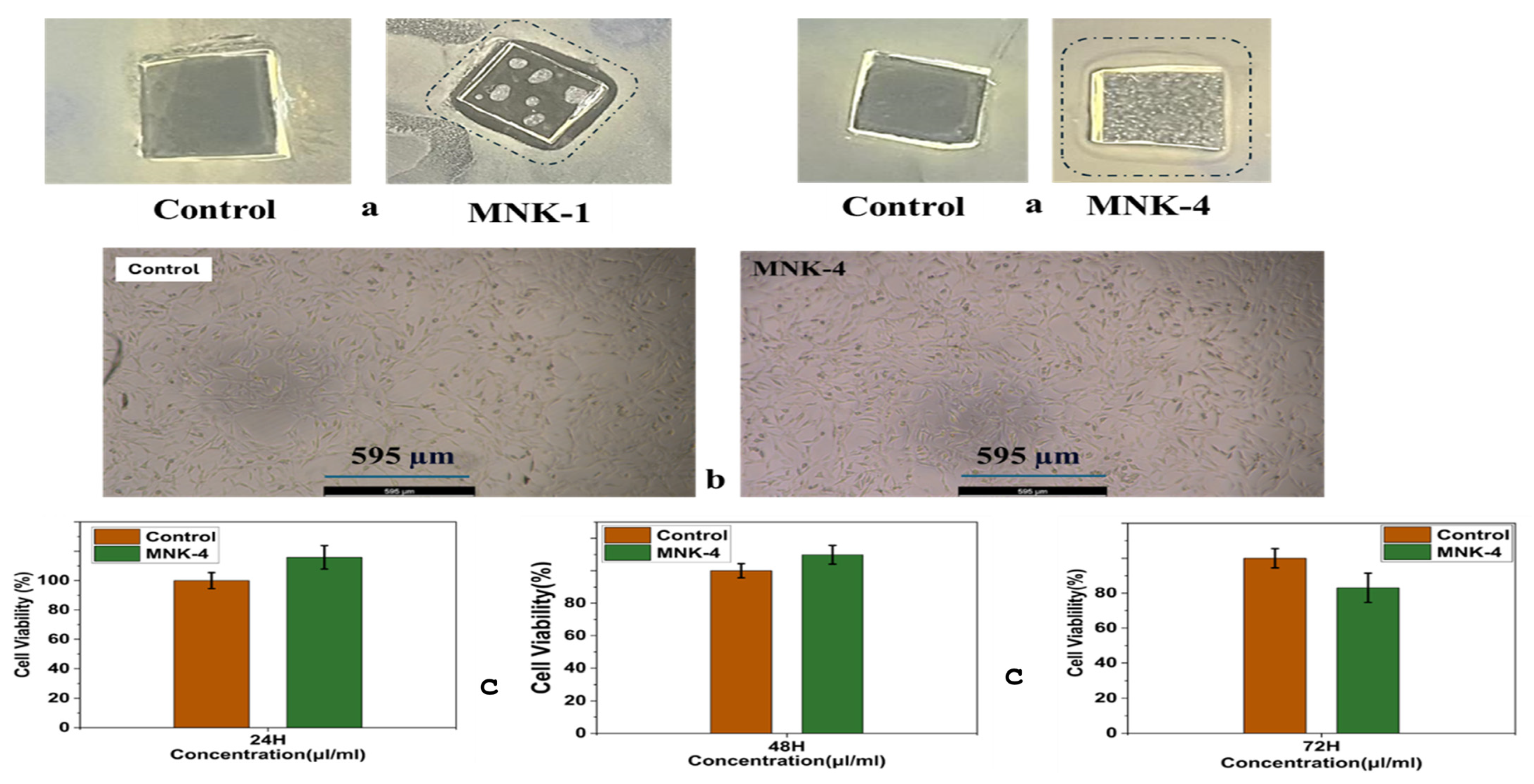 Polymers 17 02139 g010 Polymers 17 02139 g010