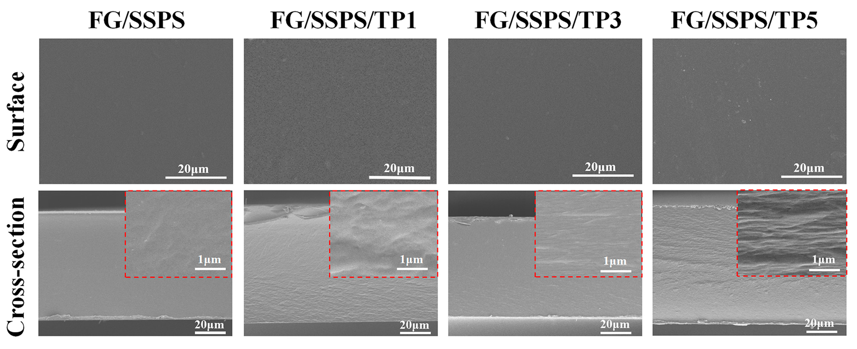 Polymers 17 02174 g002 Polymers 17 02174 g002
