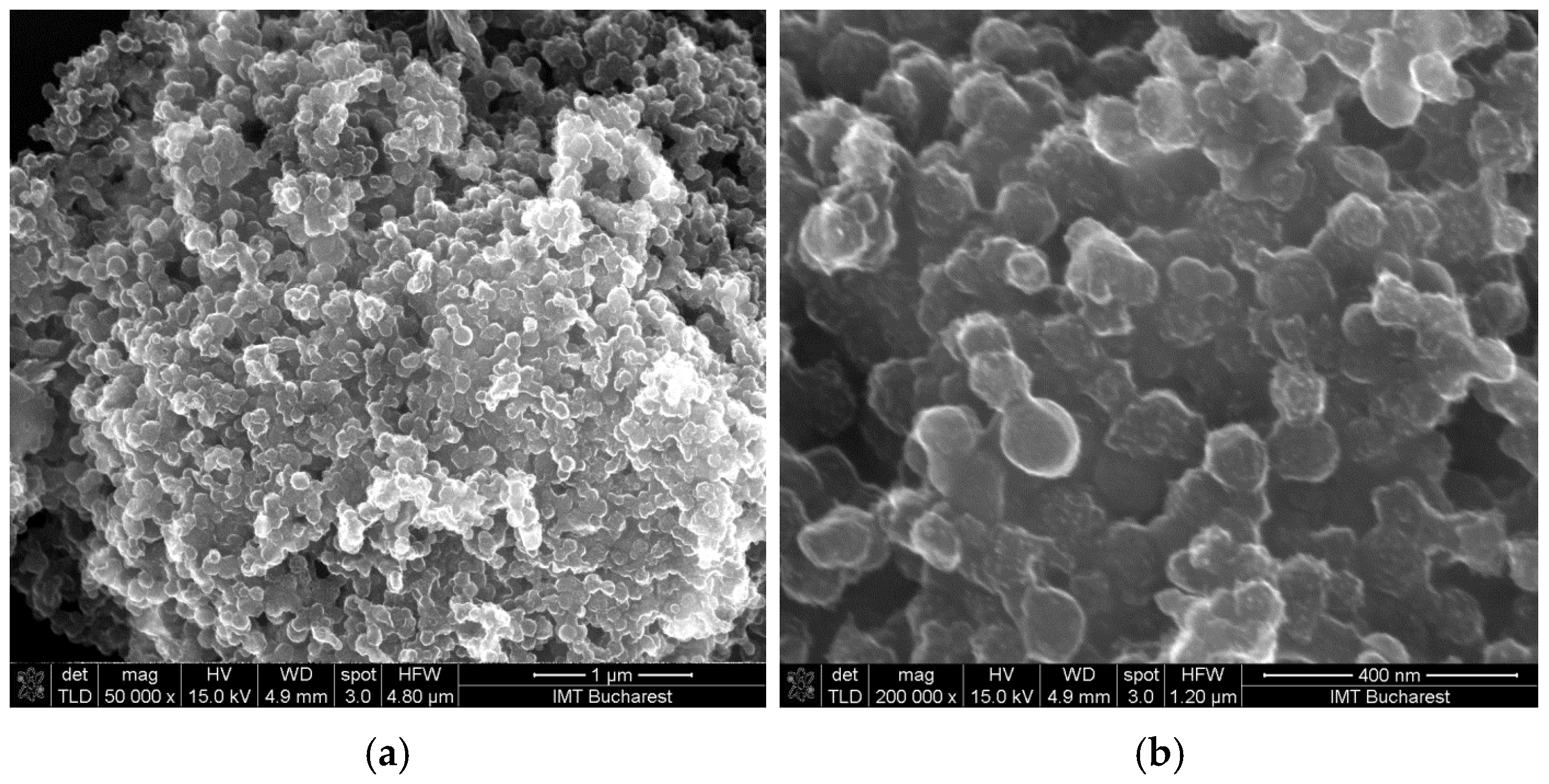 Polymers 17 02198 g014 Polymers 17 02198 g014