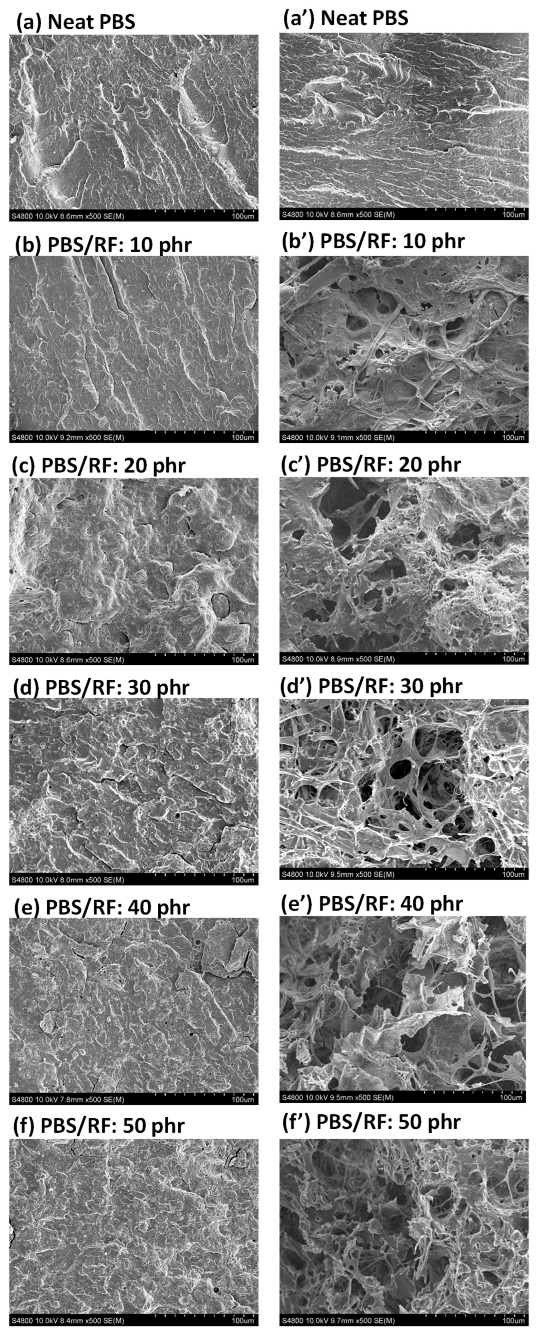 Polymers 17 02213 g013 Polymers 17 02213 g013