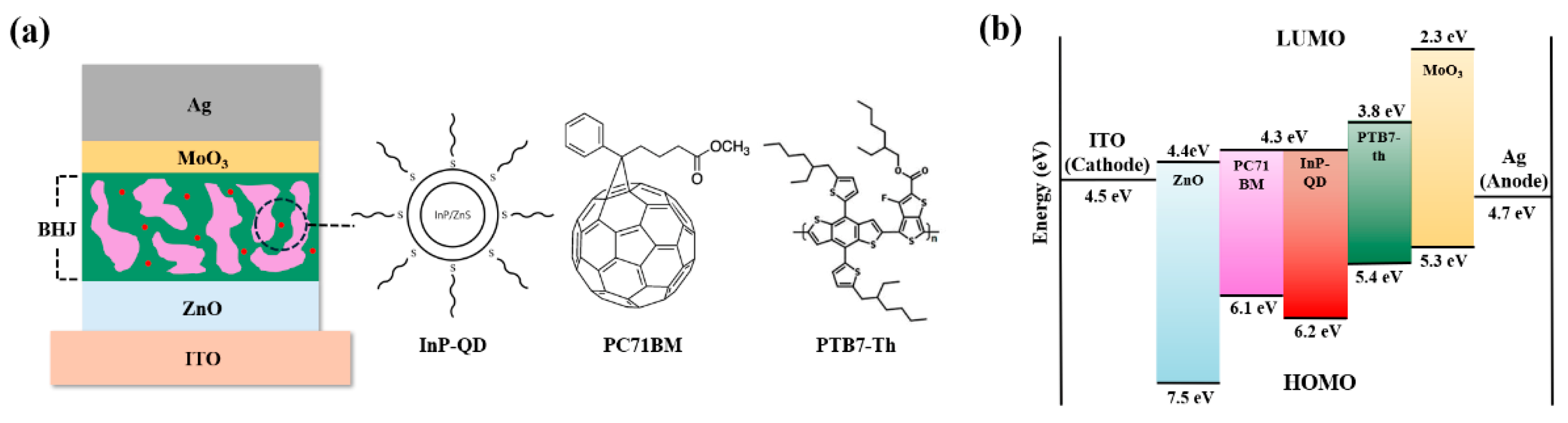 Polymers 17 02214 g001 Polymers 17 02214 g001
