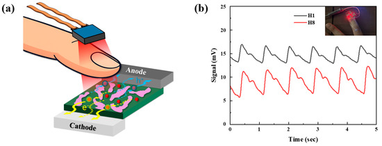 Polymers 17 02214 g008