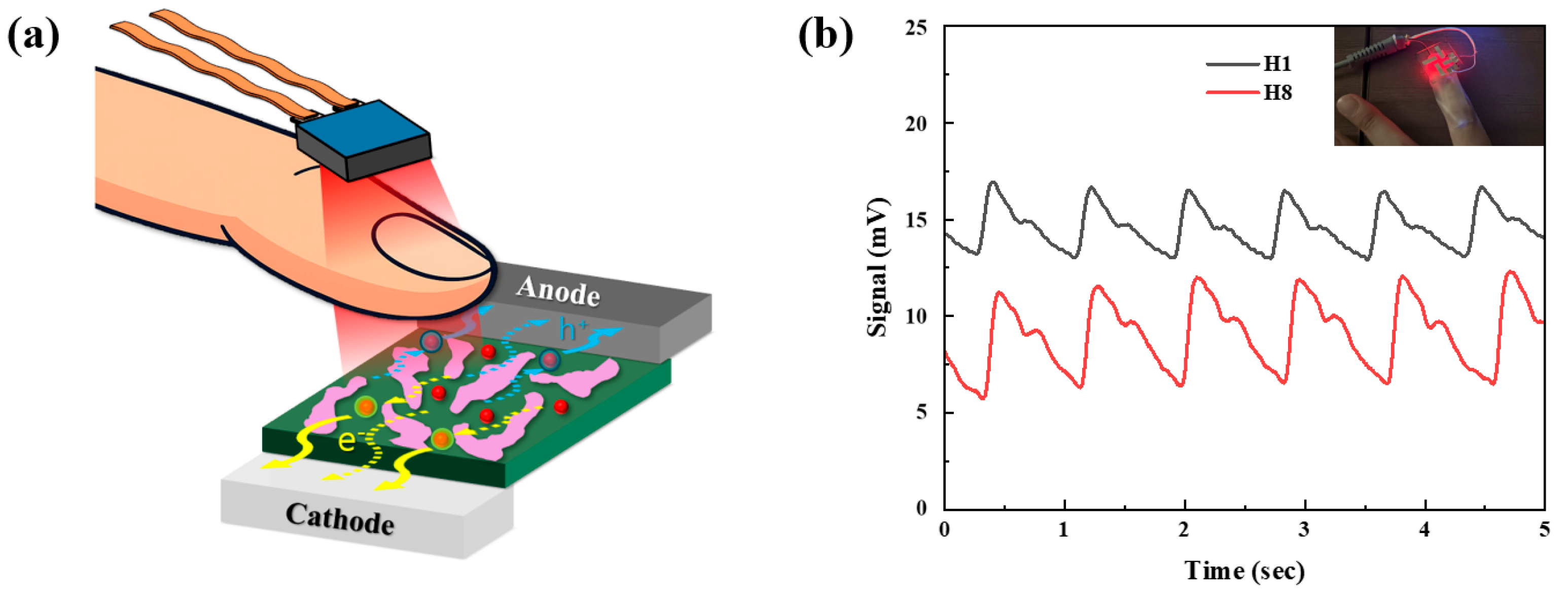 Polymers 17 02214 g008 Polymers 17 02214 g008