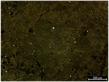 Polymers 17 02216 i001