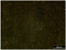 Polymers 17 02216 i002