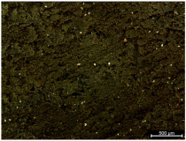 Polymers 17 02216 i003