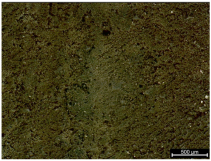 Polymers 17 02216 i004