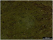 Polymers 17 02216 i005