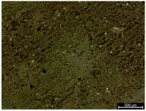 Polymers 17 02216 i006