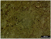 Polymers 17 02216 i007