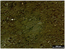 Polymers 17 02216 i008