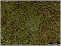 Polymers 17 02216 i009