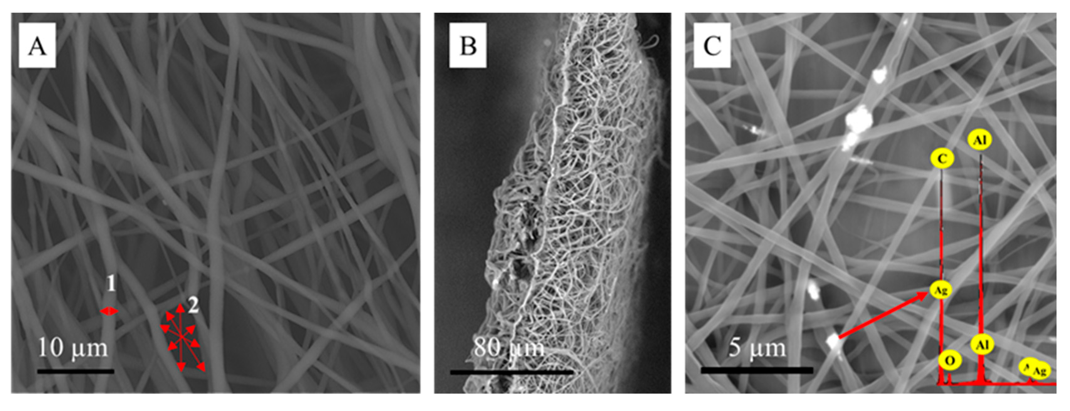 Polymers 17 02225 g002 Polymers 17 02225 g002