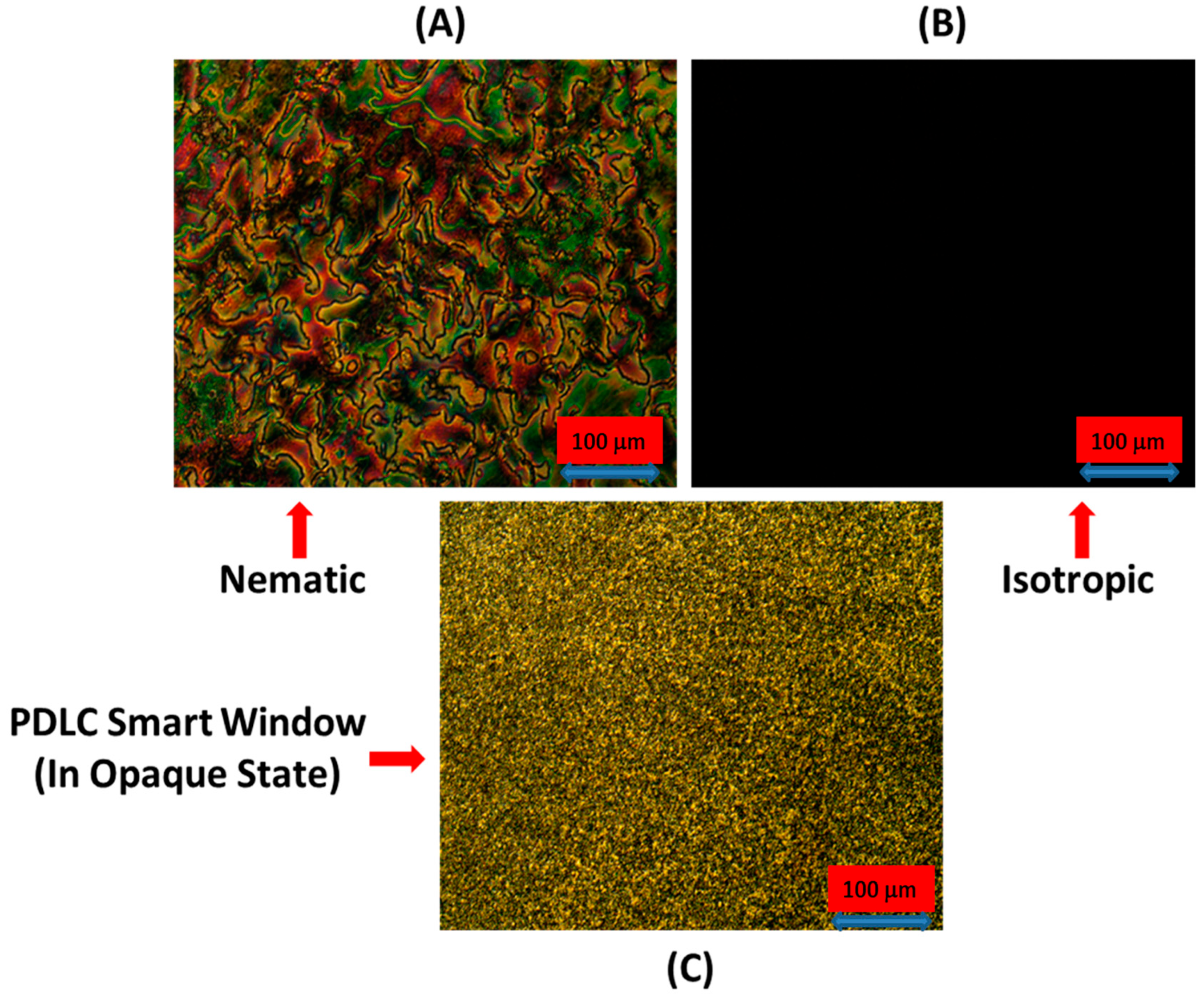 Polymers 17 02232 g003