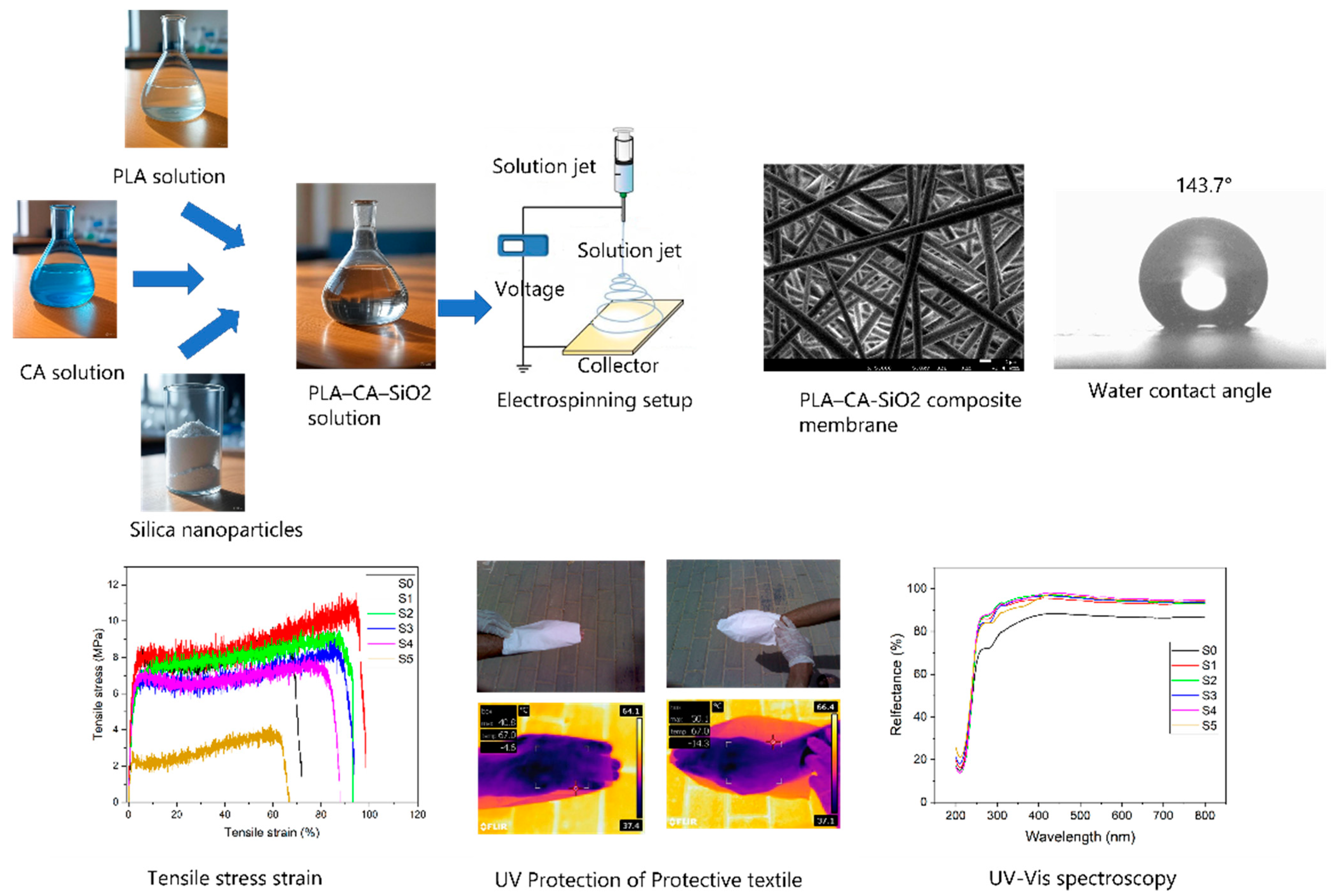 Polymers 17 02237 g001