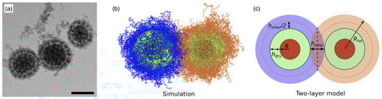 Polymers 17 02243 g004
