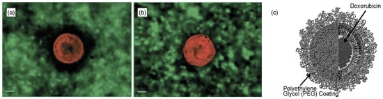 Polymers 17 02243 g005