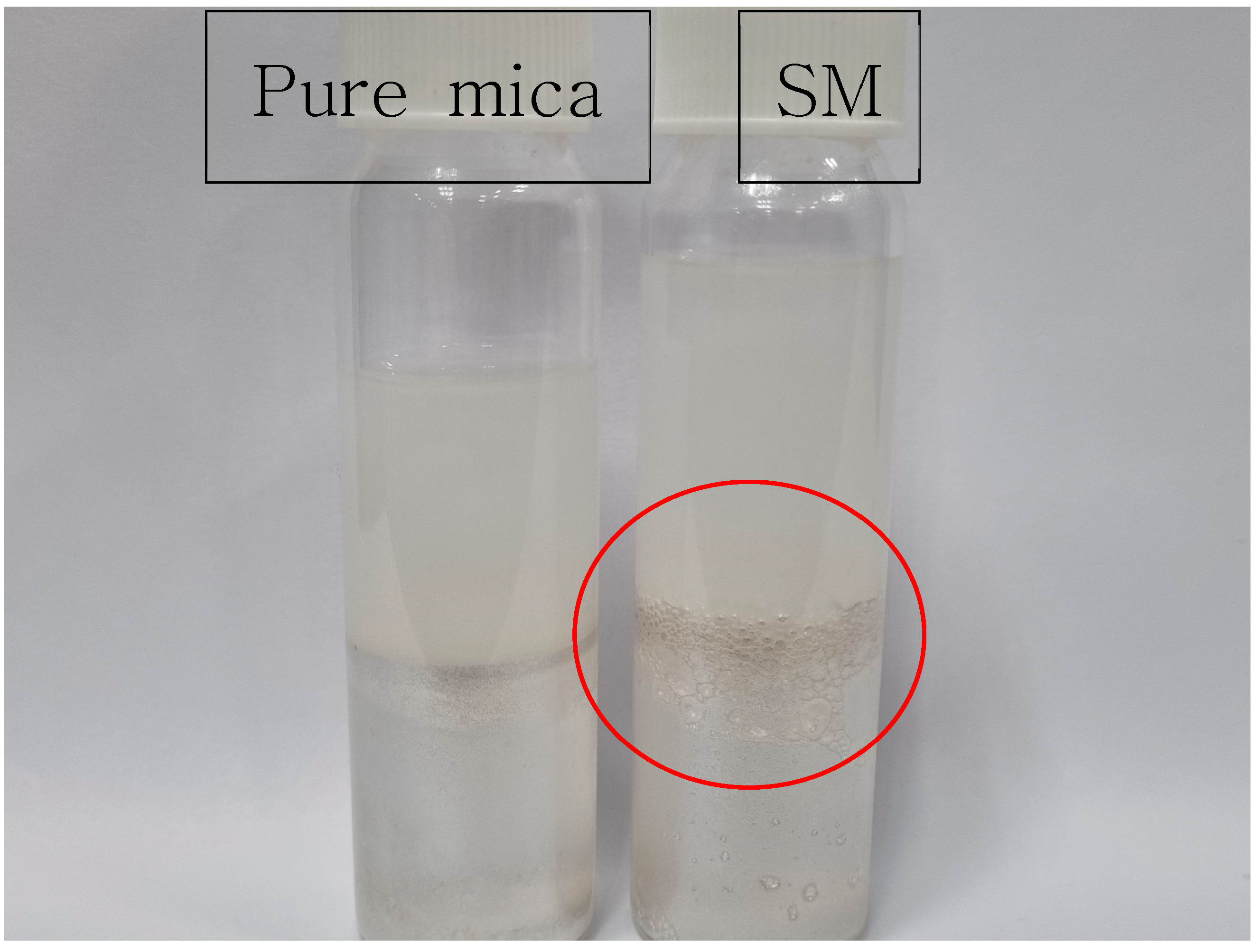 Polymers 17 02250 g001