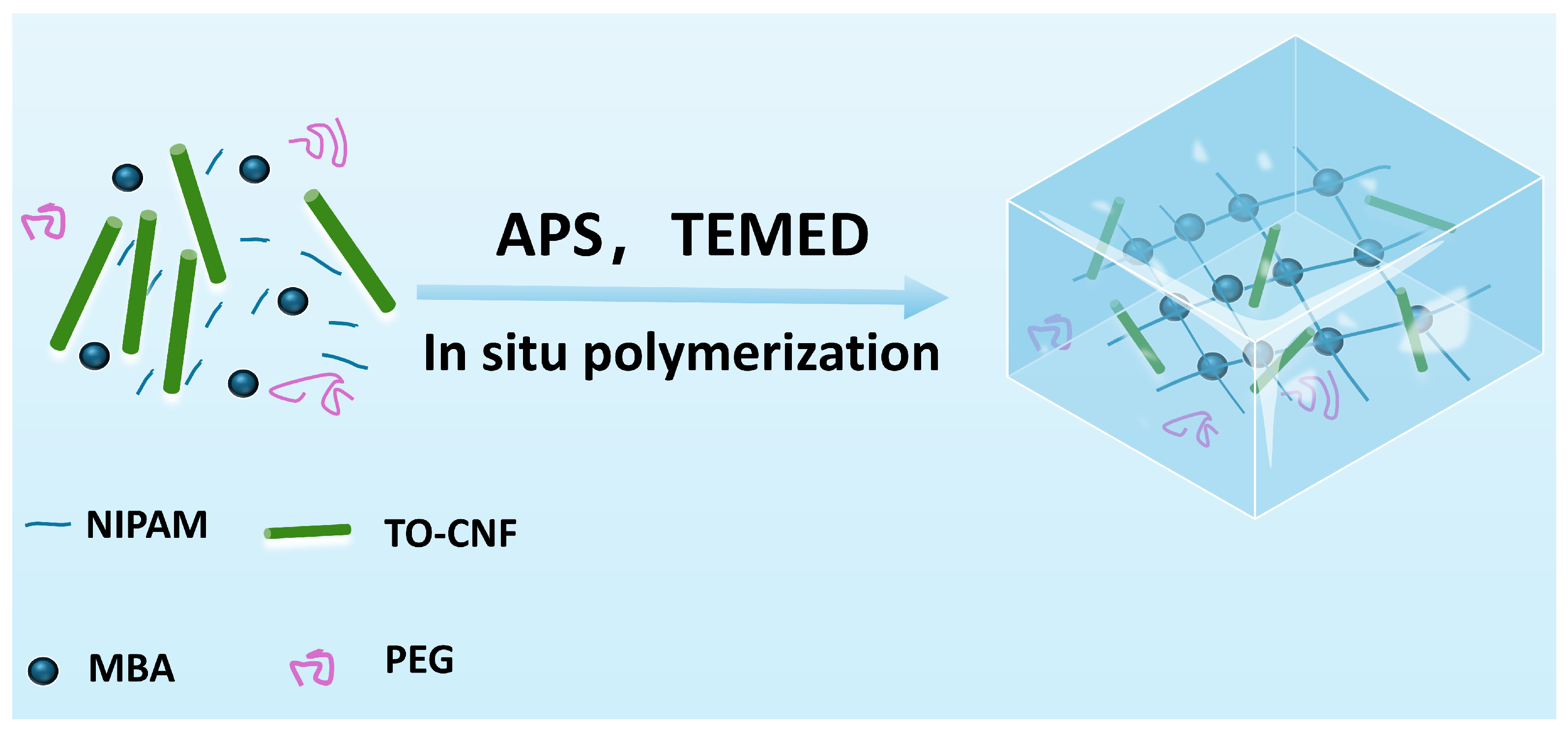 Polymers 17 02253 g001 Polymers 17 02253 g001