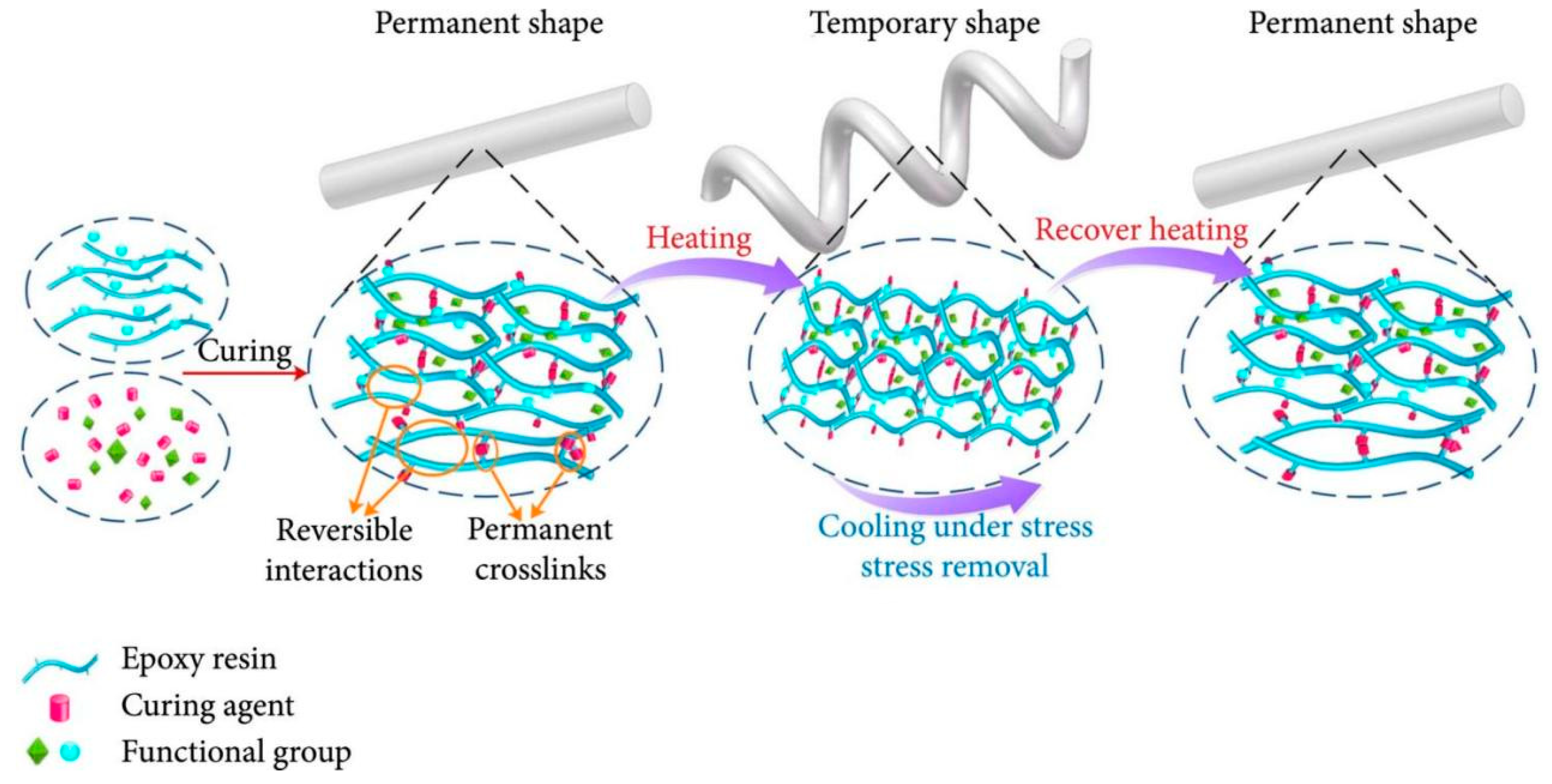 Polymers 17 02254 g004
