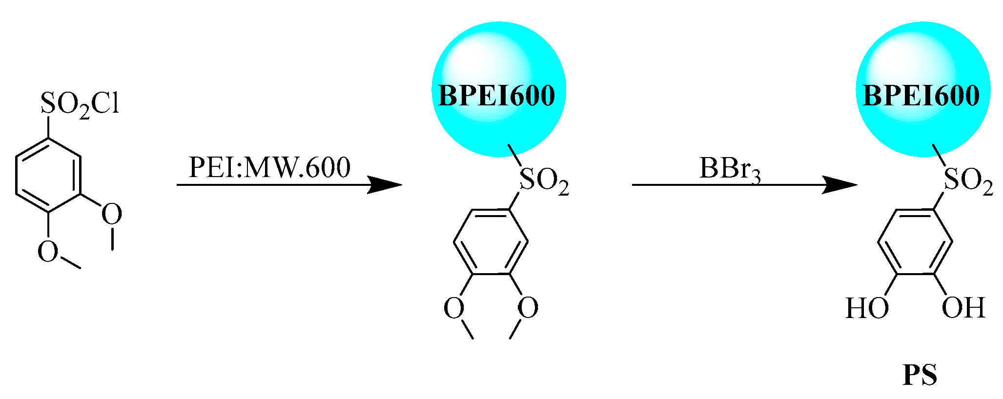 Polymers 17 02256 g001 Polymers 17 02256 g001