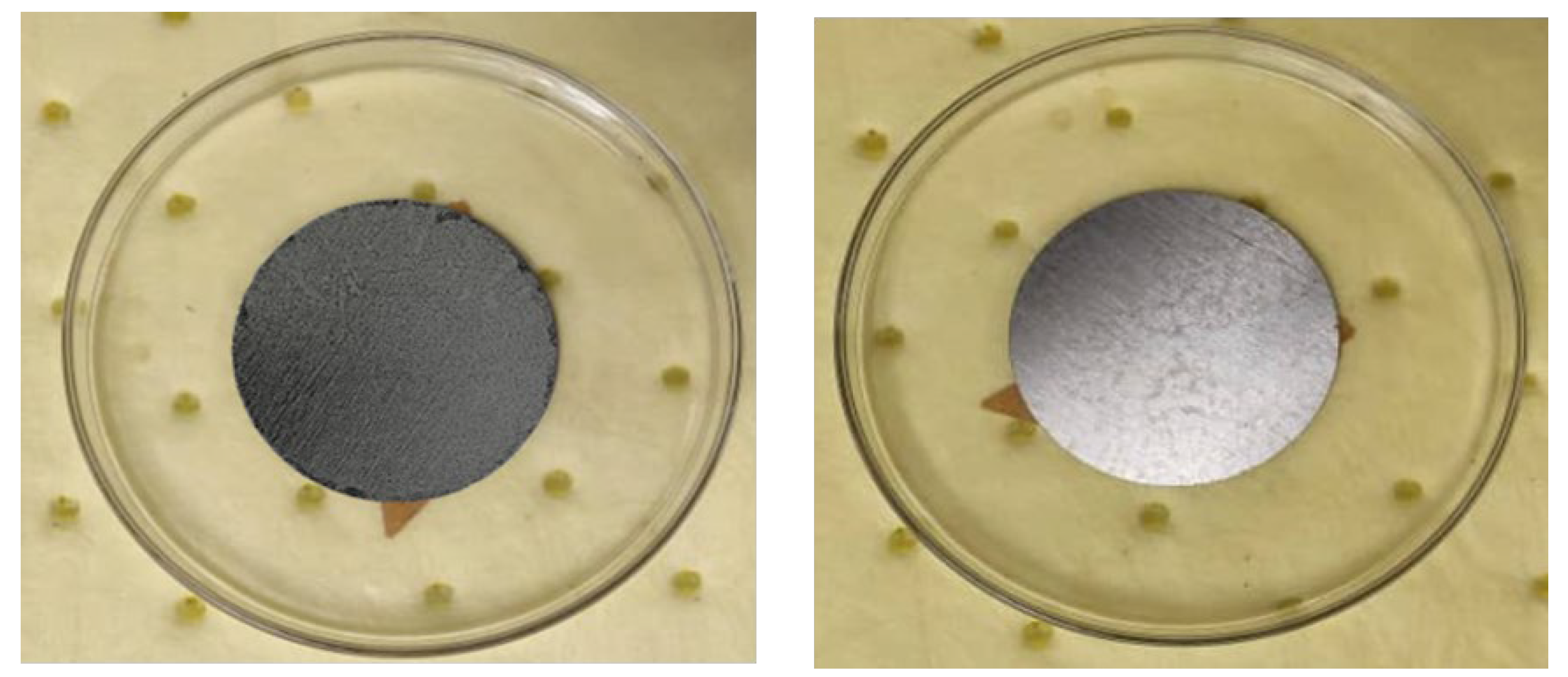 Polymers 17 02262 g002
