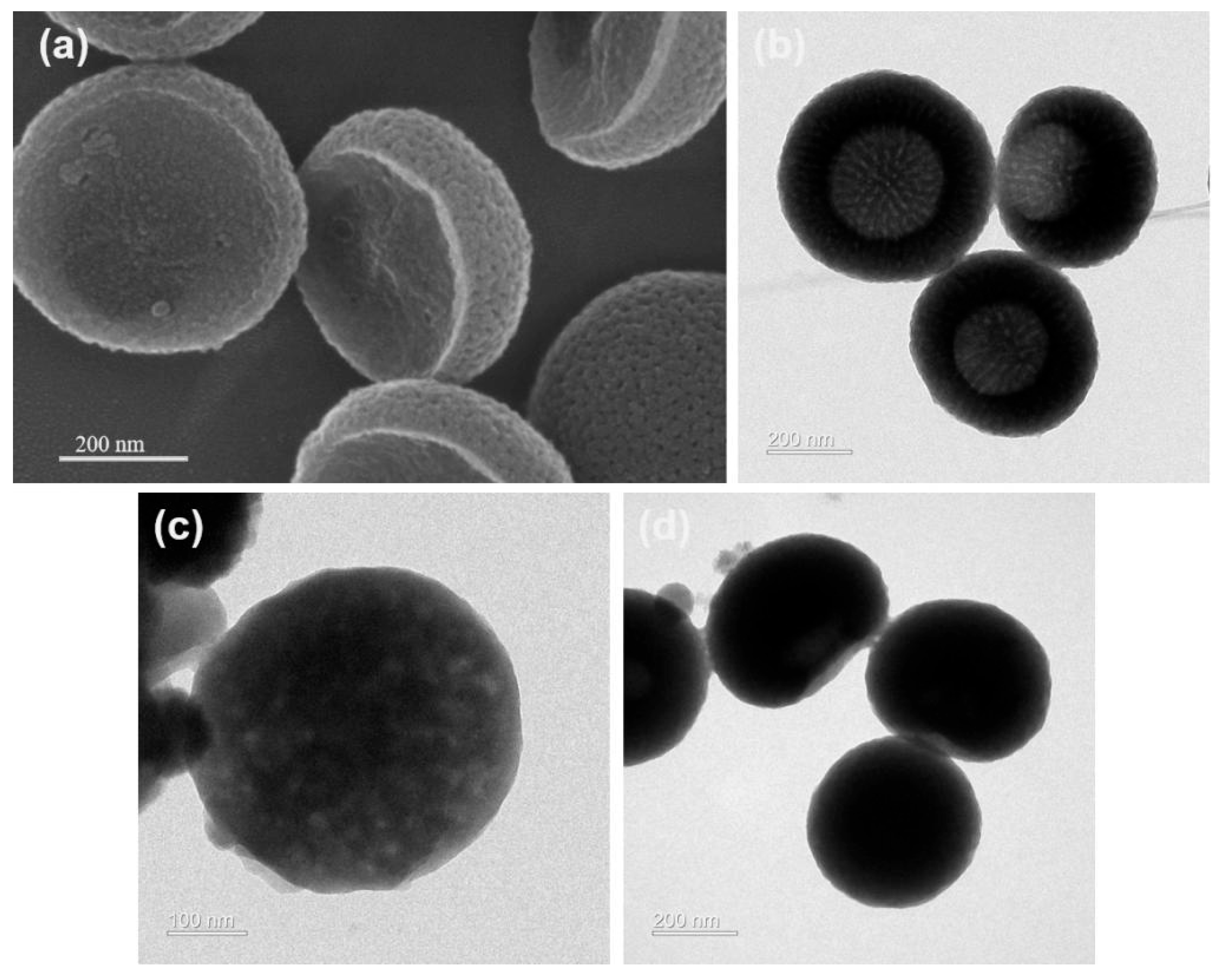 Polymers 17 02265 g002