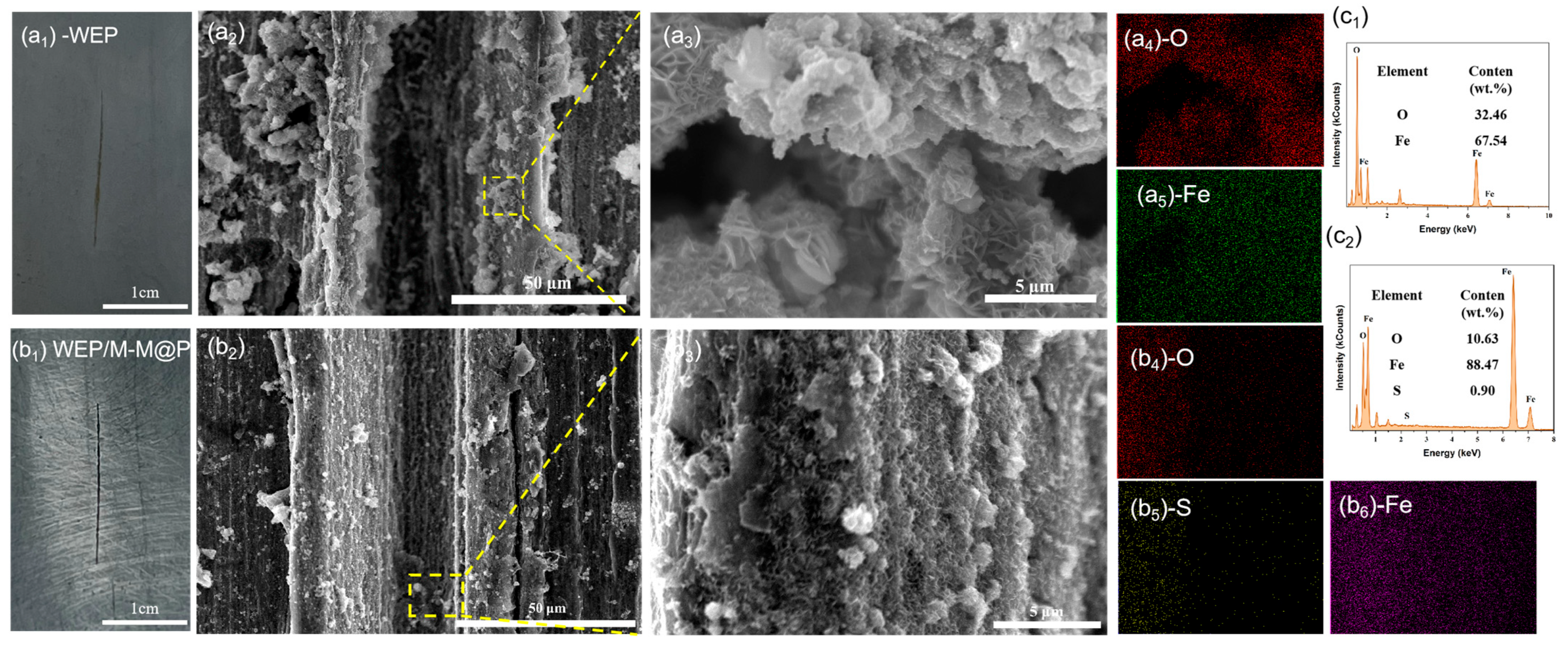 Polymers 17 02265 g012