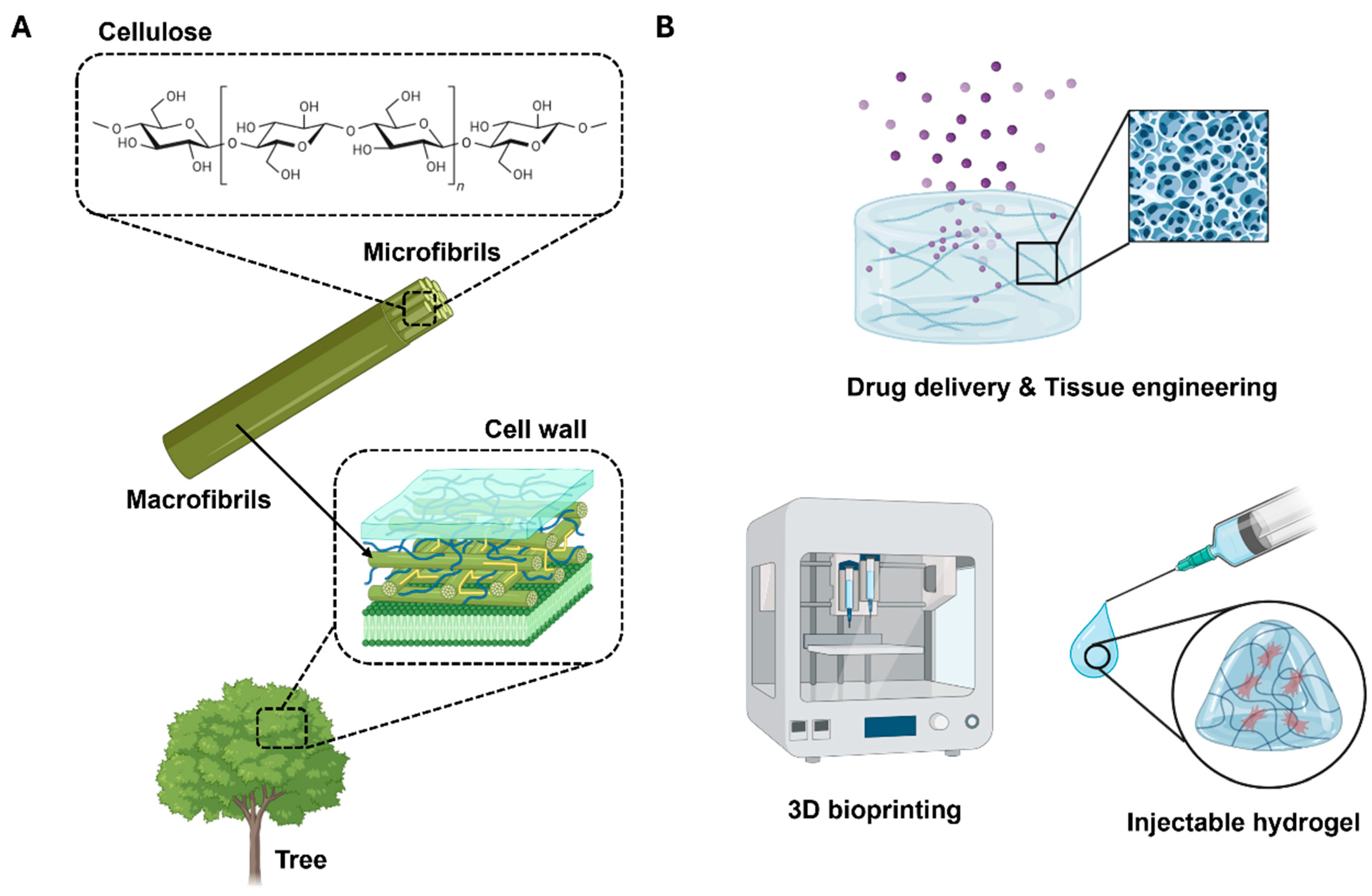 Polymers 17 02272 g001