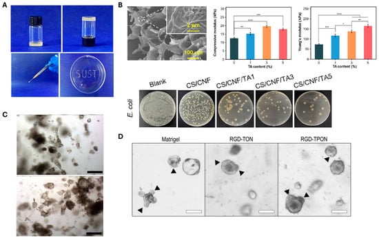 Polymers 17 02272 g005