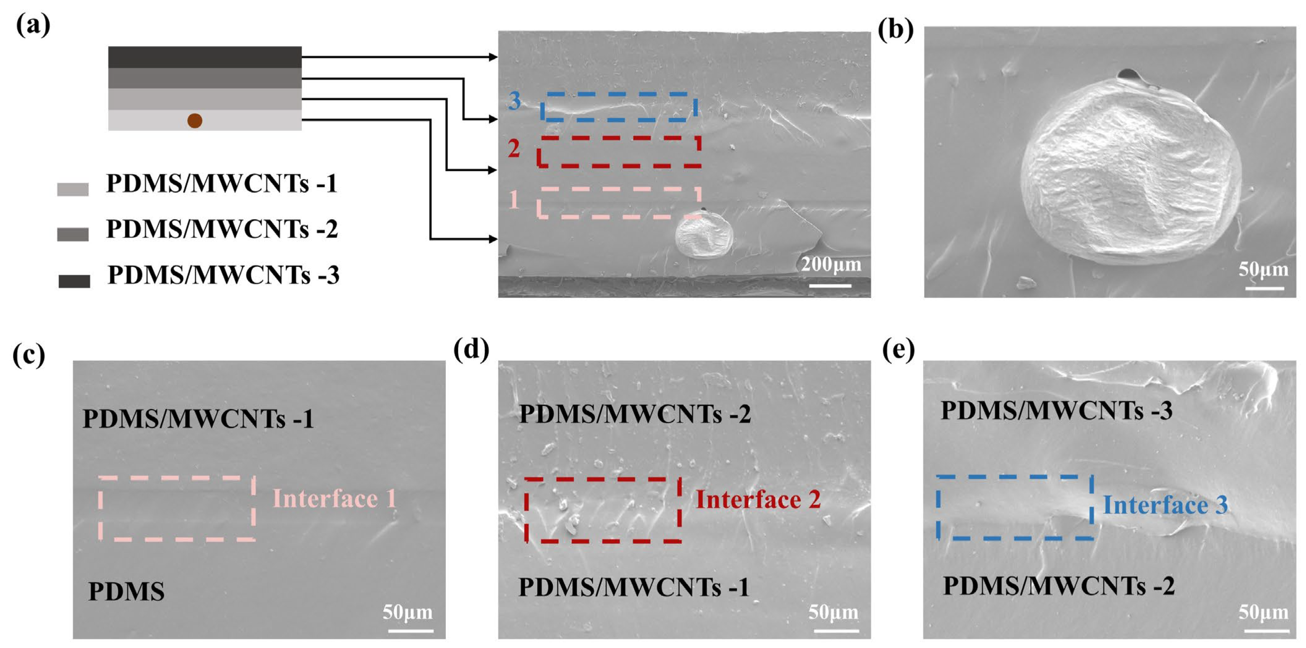 Polymers 17 02288 g002
