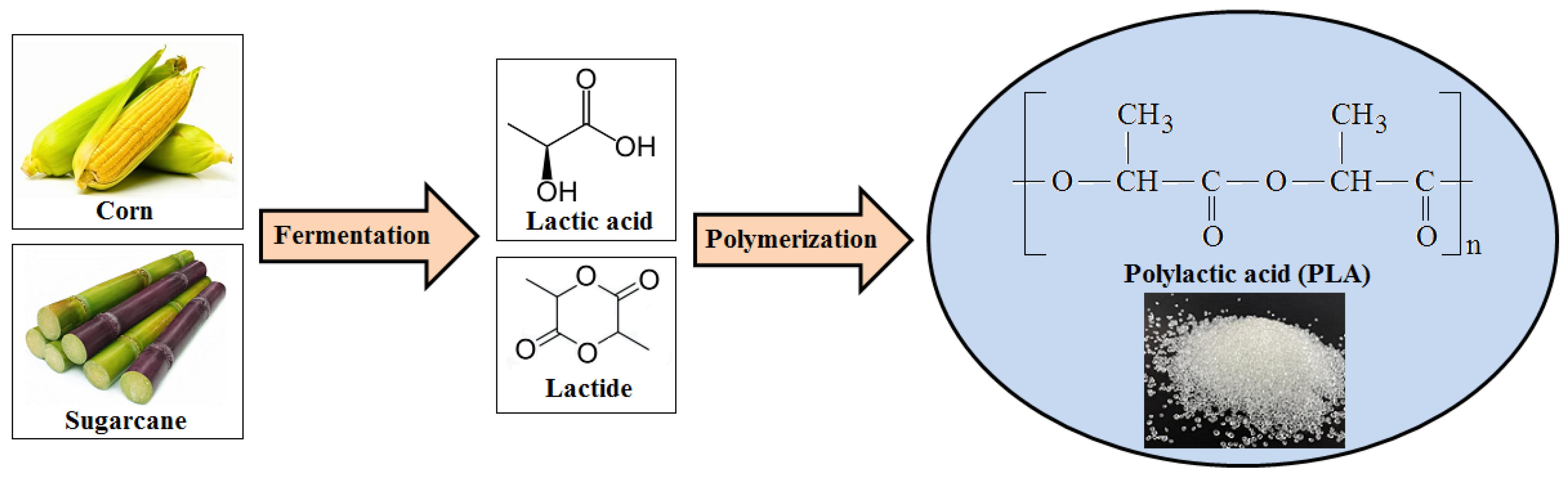 Polymers 17 02335 g002 Polymers 17 02335 g002
