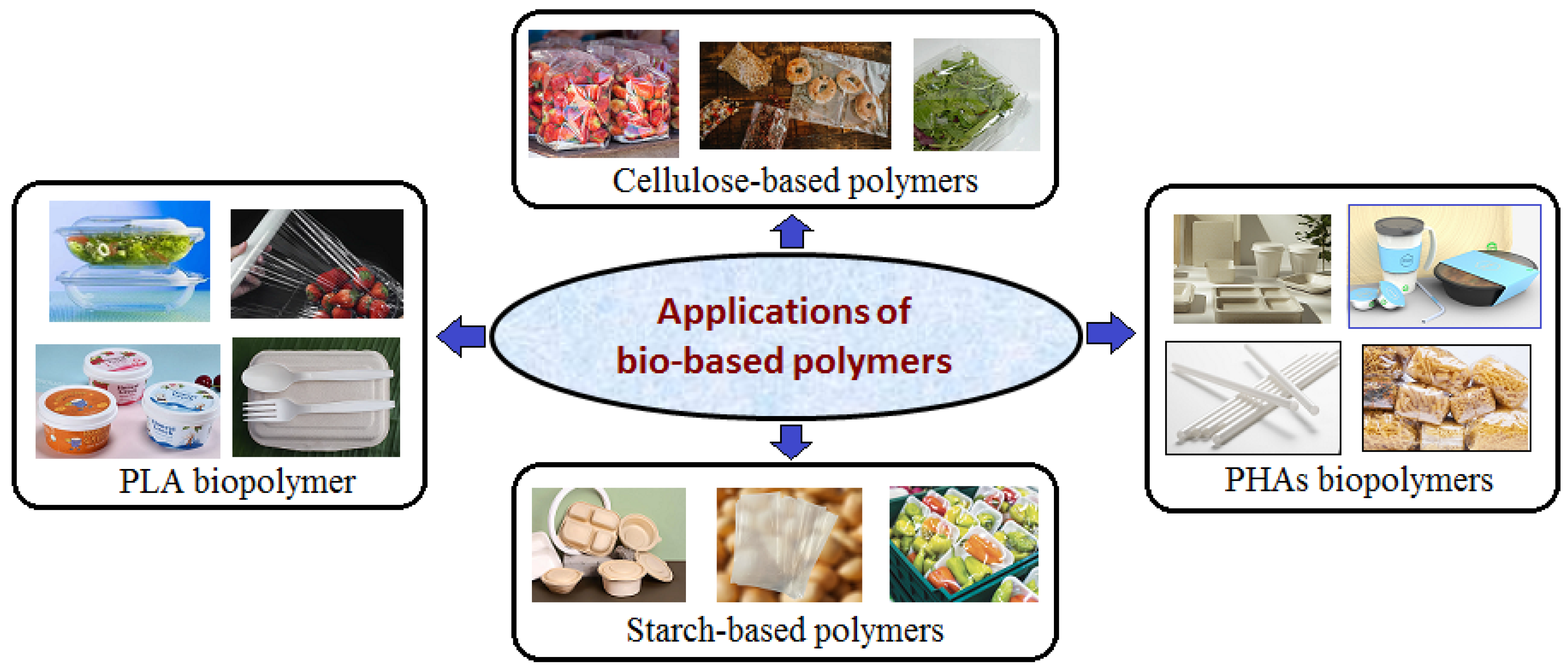 Polymers 17 02335 g007 Polymers 17 02335 g007
