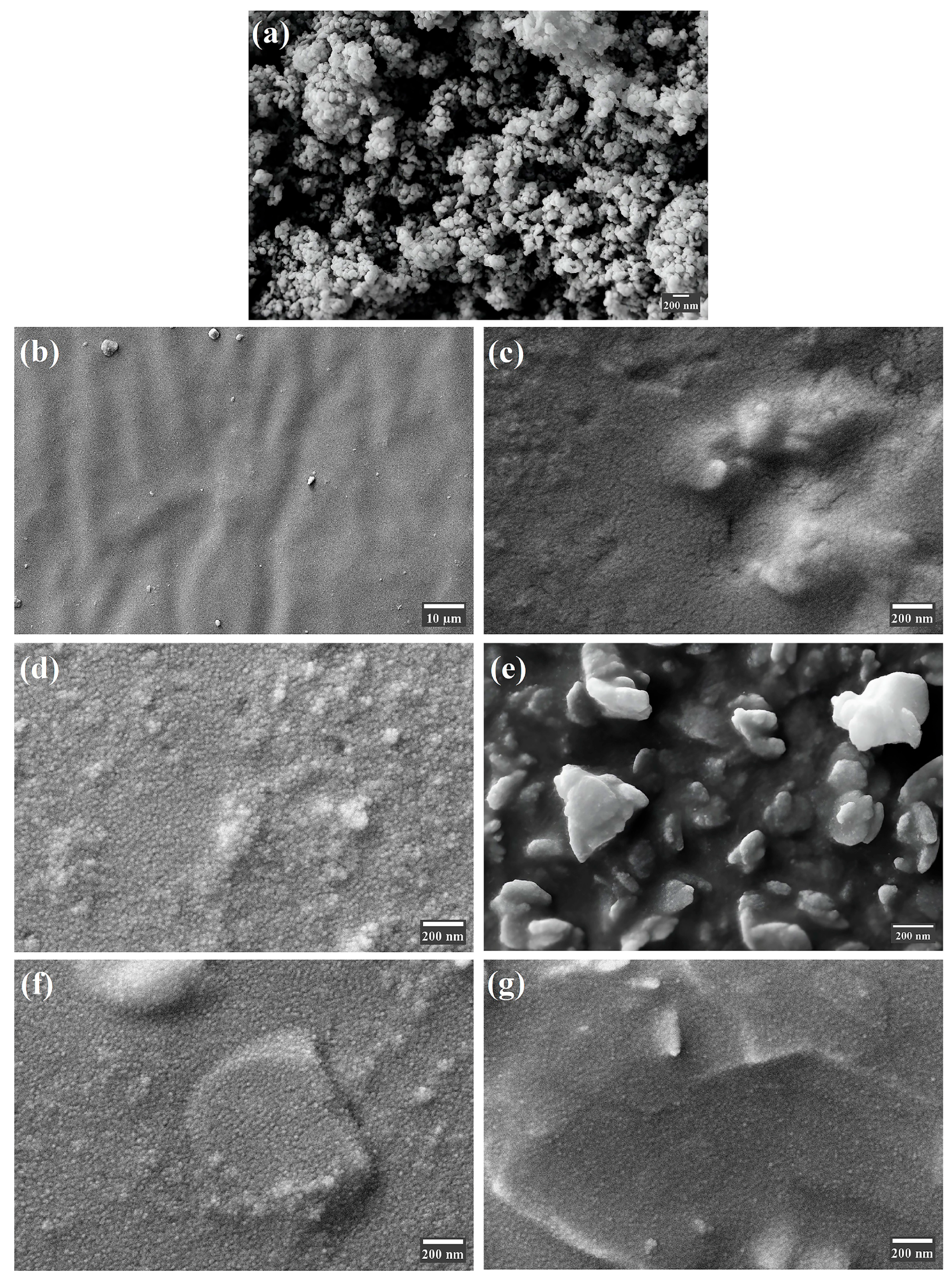 Polymers 17 02336 g005