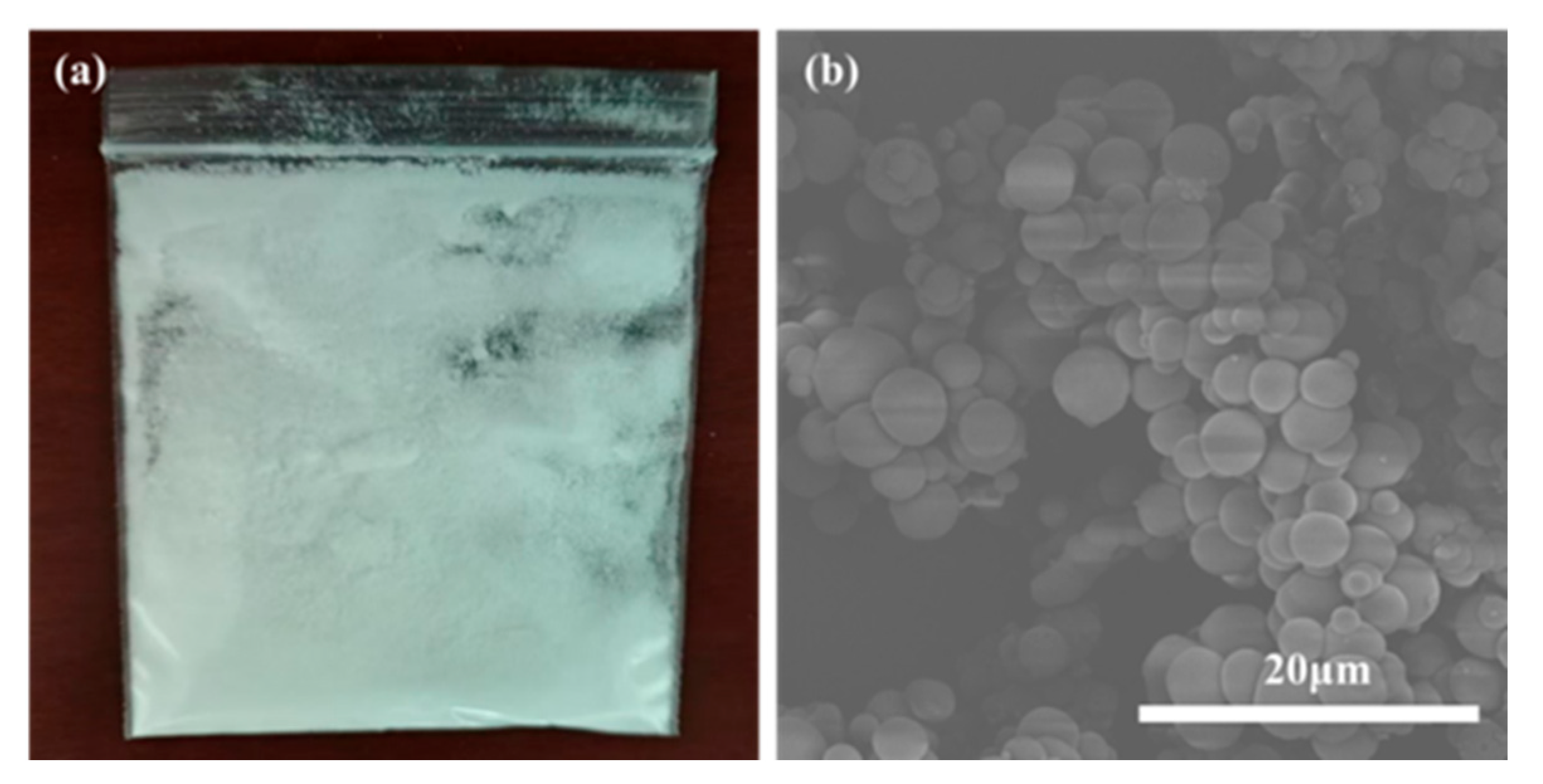 Polymers 17 02374 g004