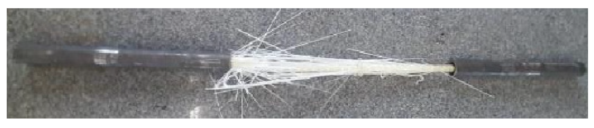 Polymers 17 02423 g010