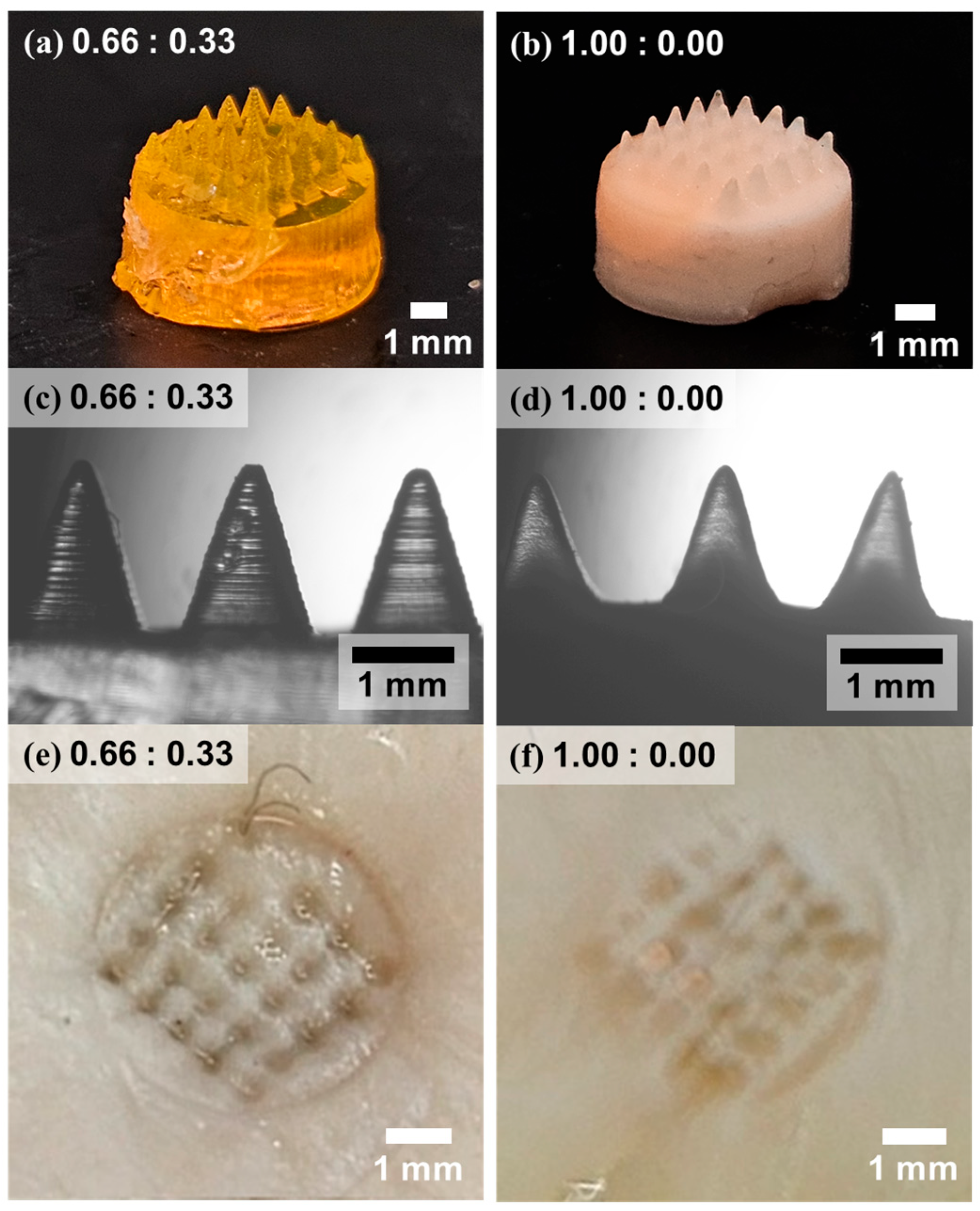 Polymers 17 02424 g007