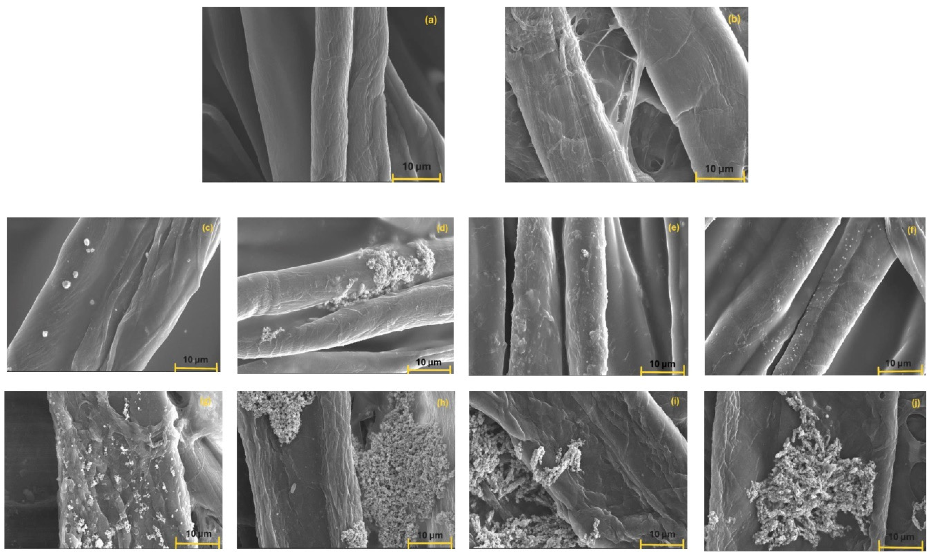 Polymers 17 02456 g007