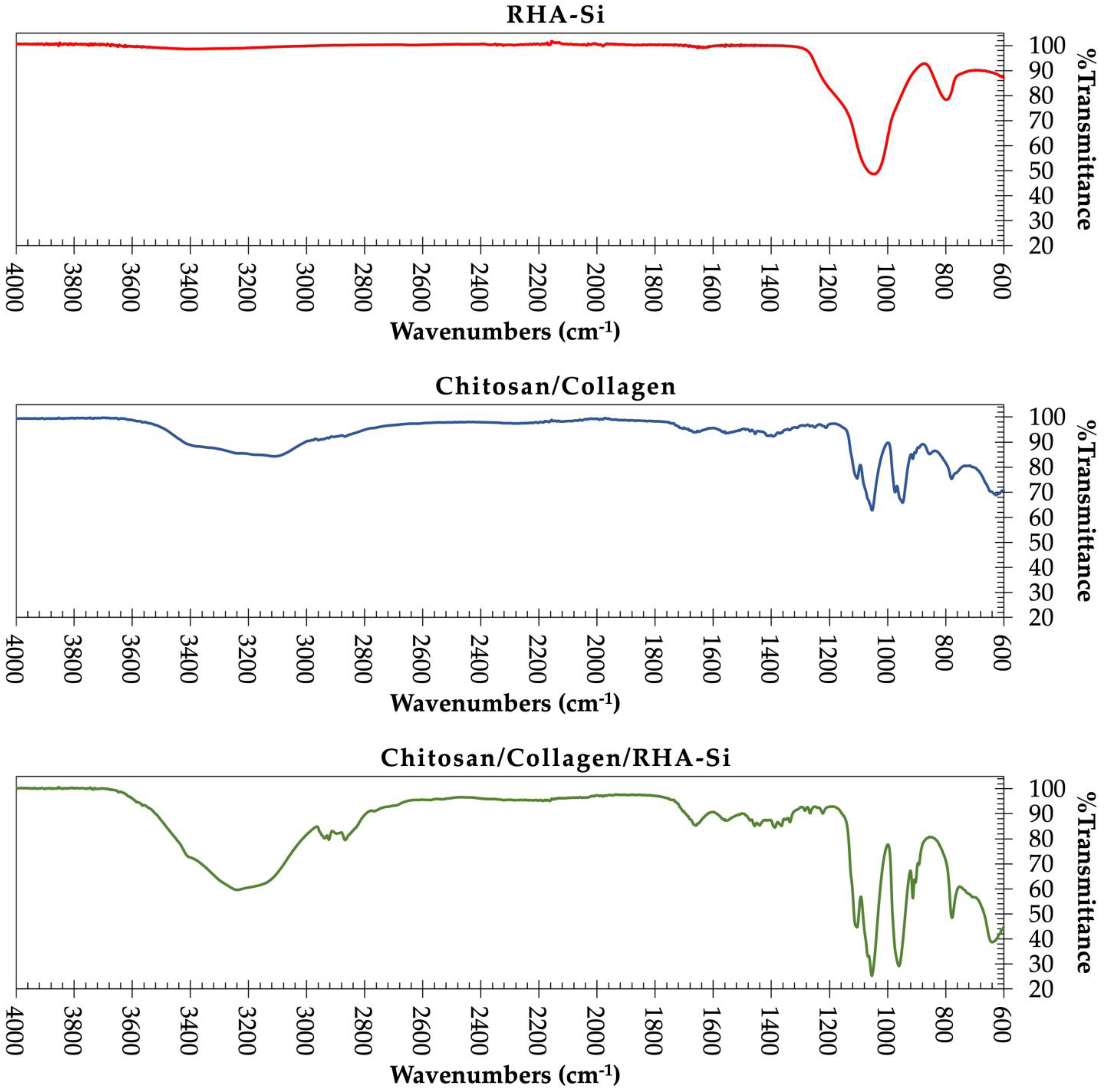 Polymers 17 02476 g002