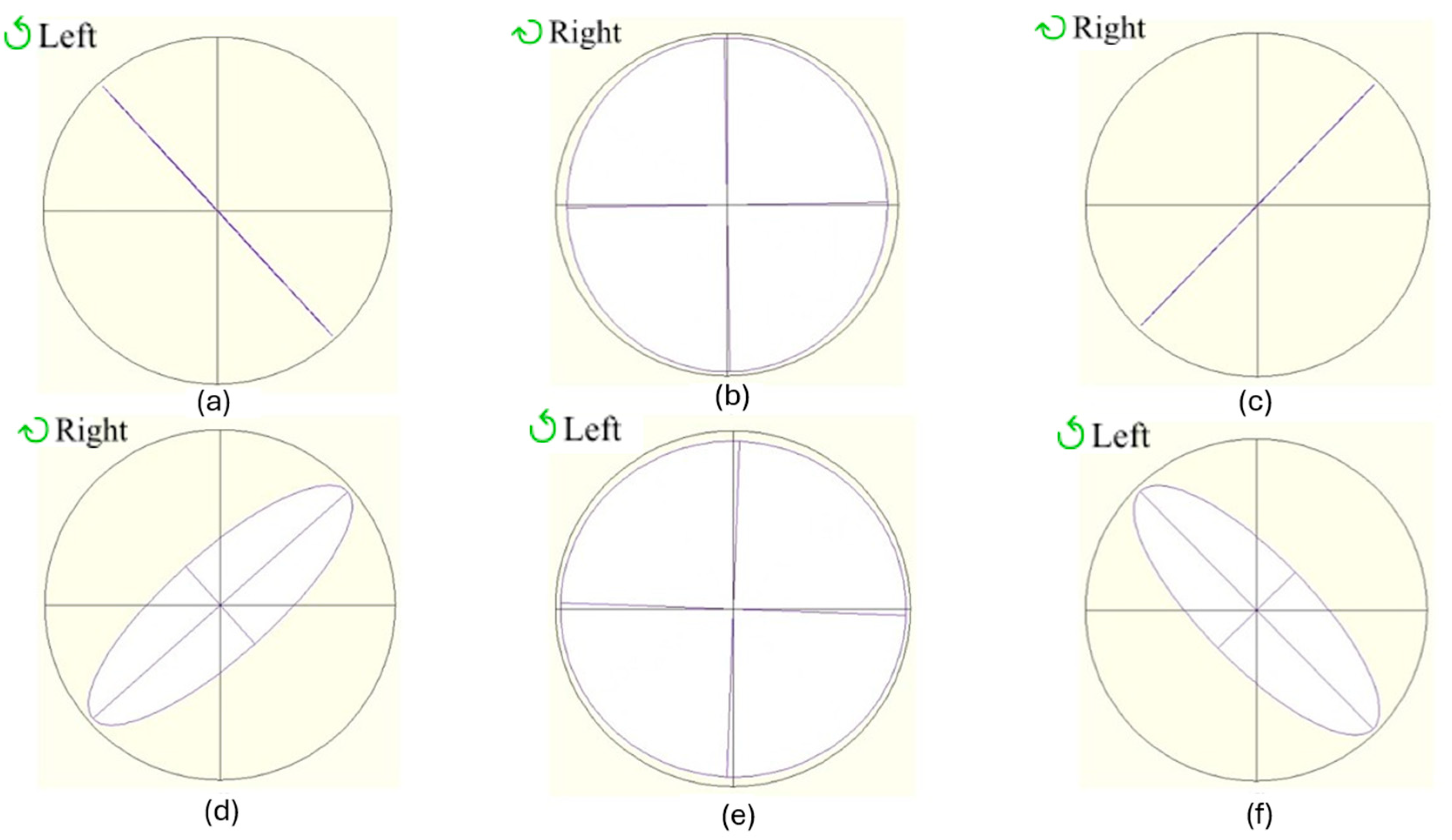 Polymers 17 02489 g005