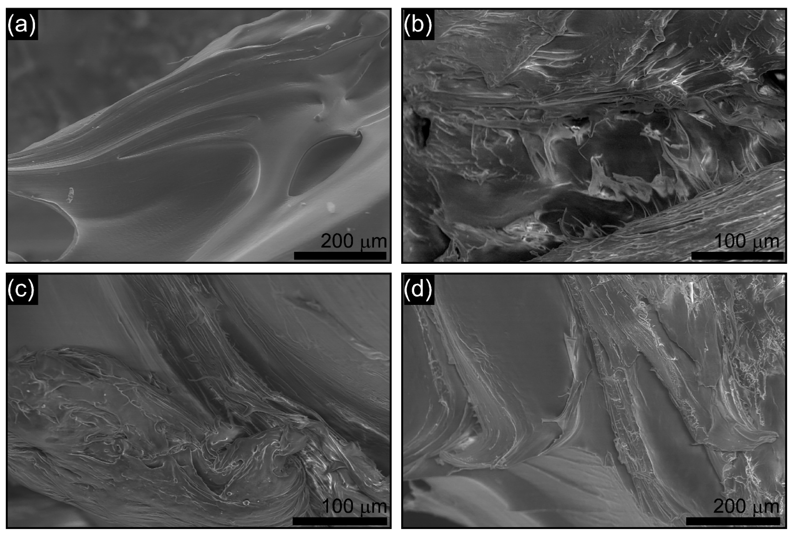 Polymers 17 02508 g012